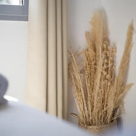 - Restaurant U Santu Petru Hotell *