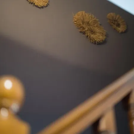 - Restaurant U Santu Petru Hotel Saint-Florent (Corsica)