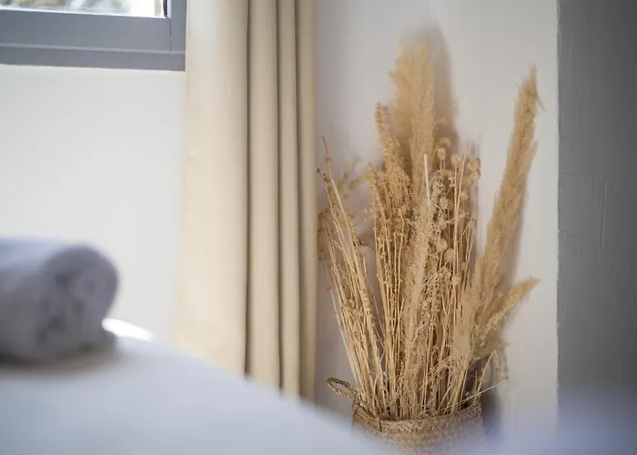 U Santu Petru Otel *